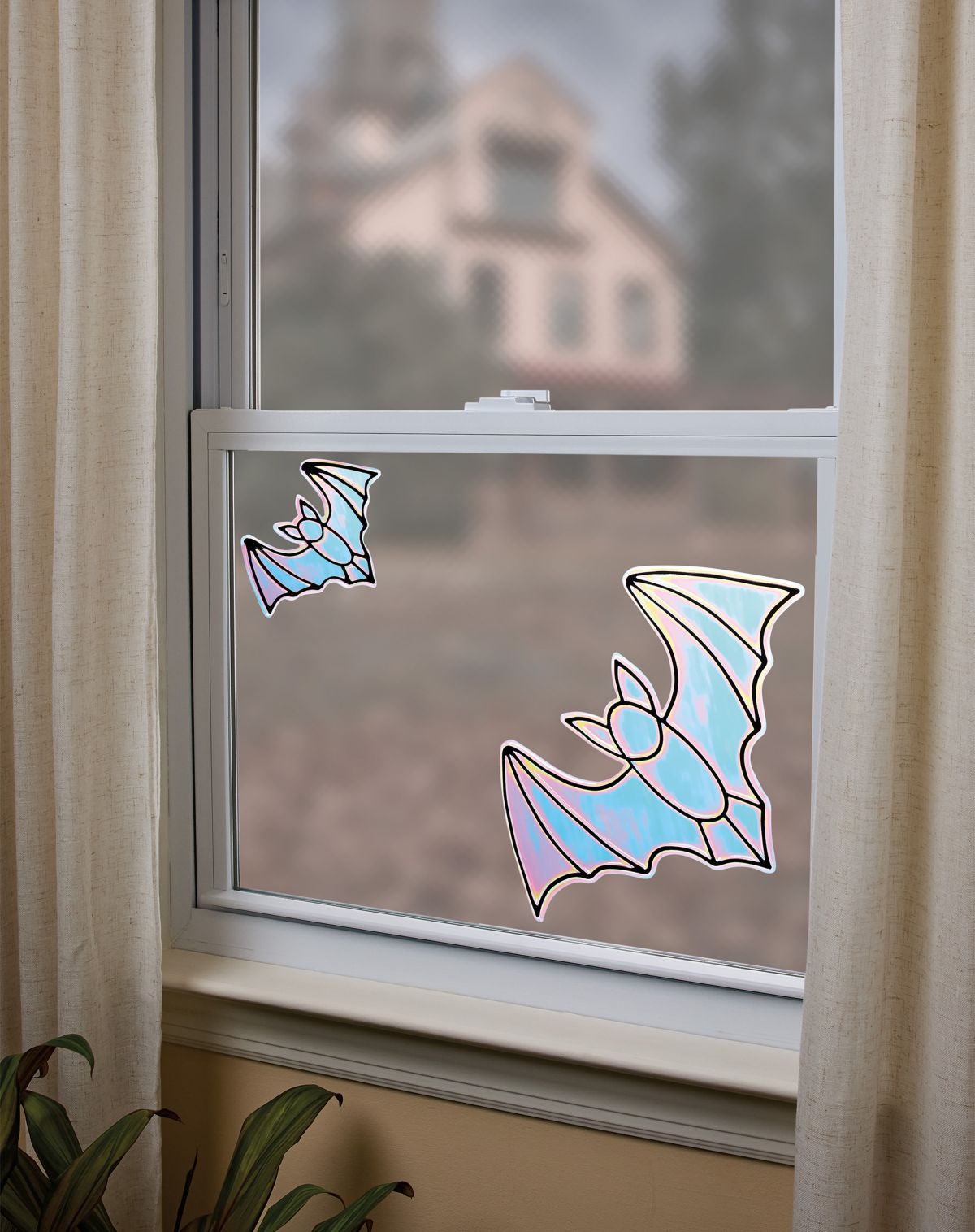 Iridescent Window Bats