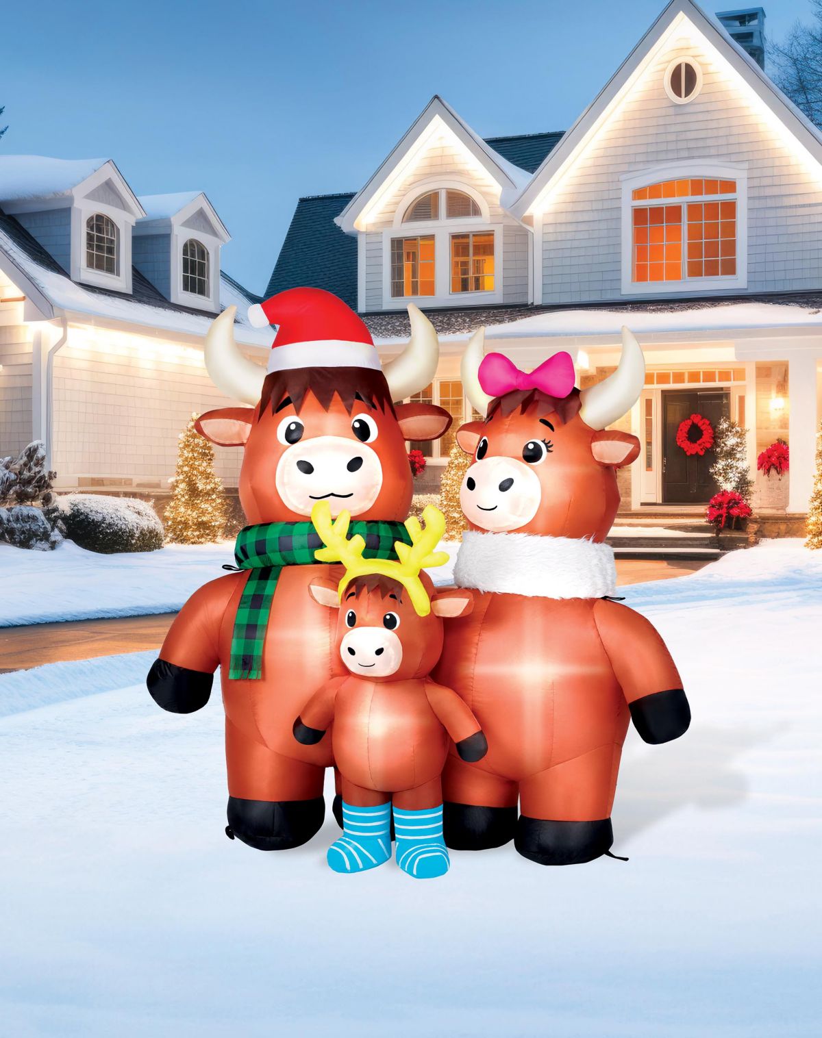4 Ft Light-Up Highland Cow Family Inflatable Decoration