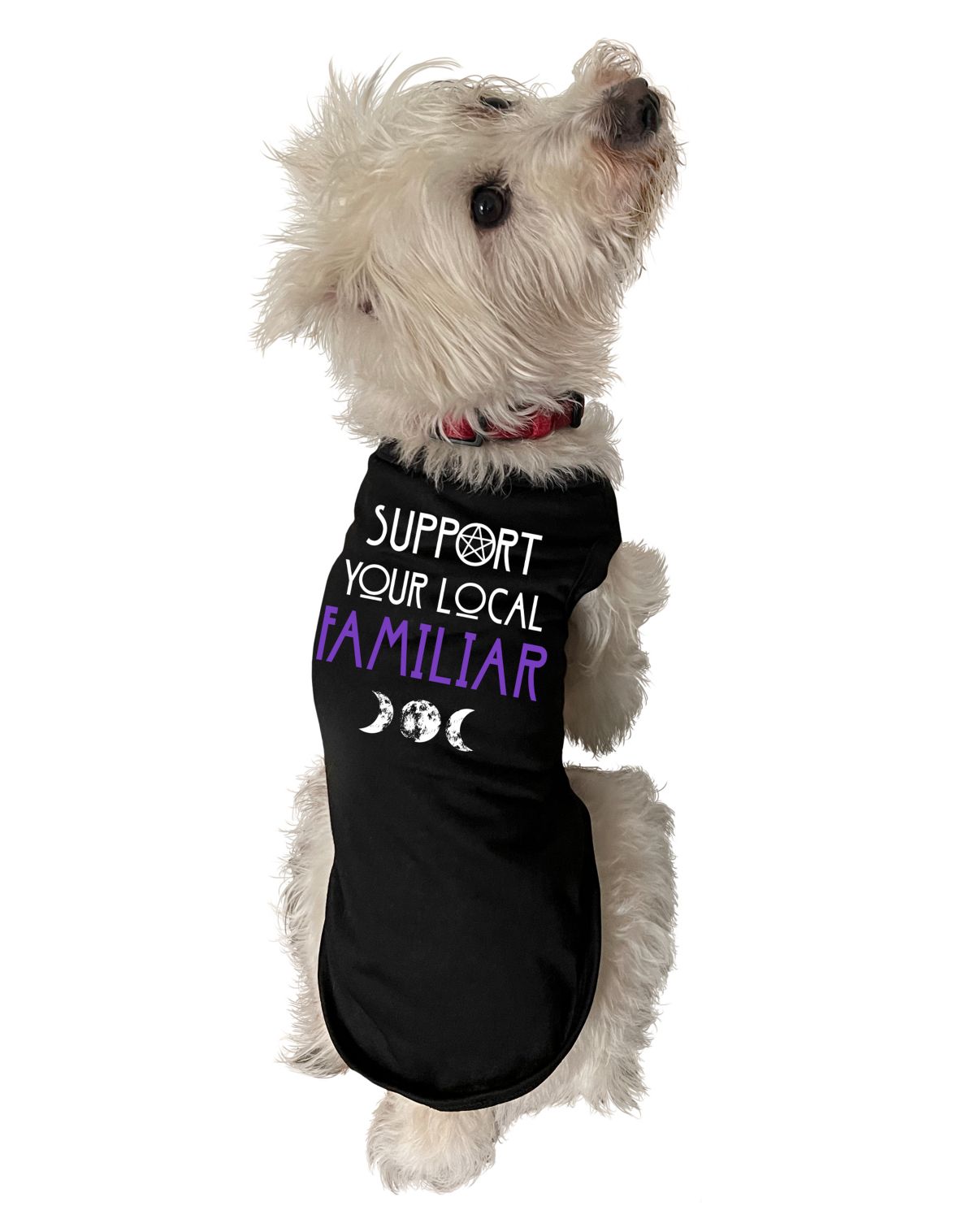 Familiar Pet T Shirt