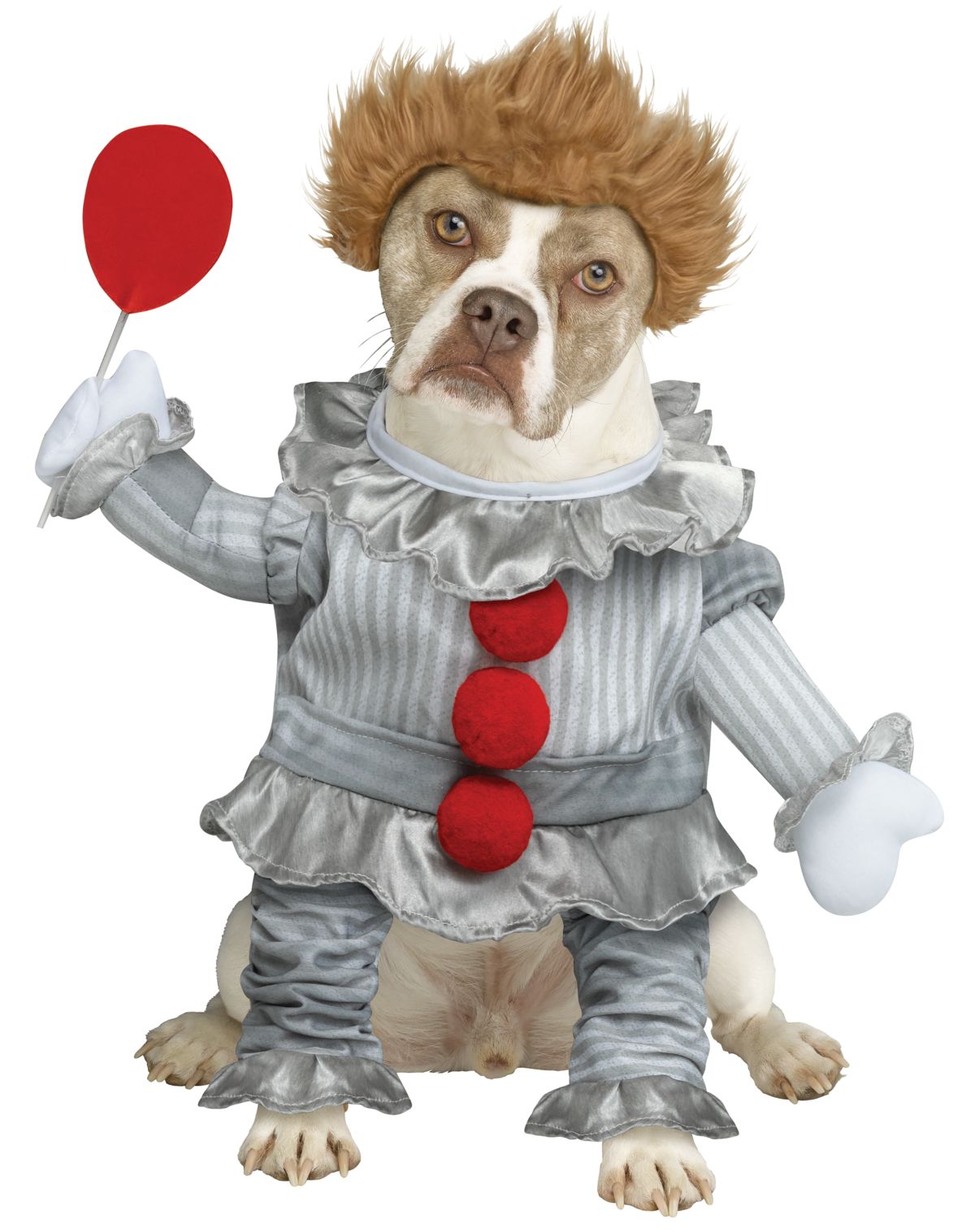 Pennywise Pet Costume - It