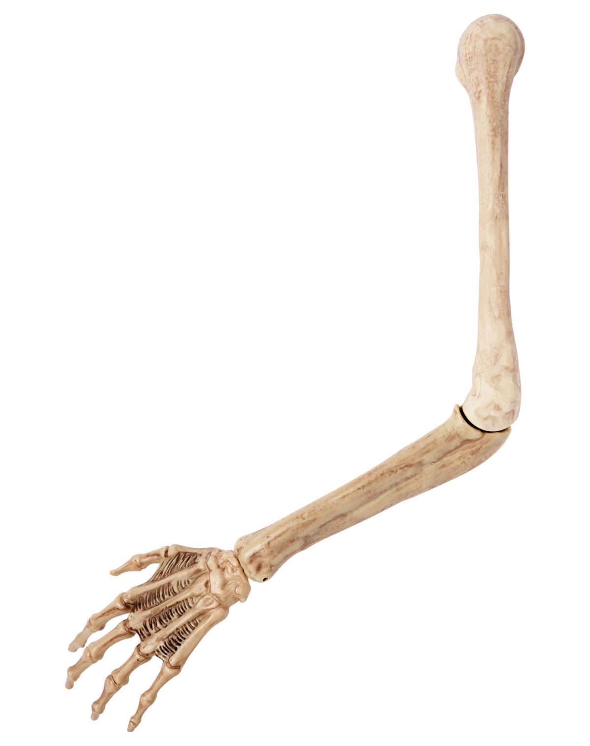 Skeleton Arm Prop - 2023 Spirit Hallows Cemetery