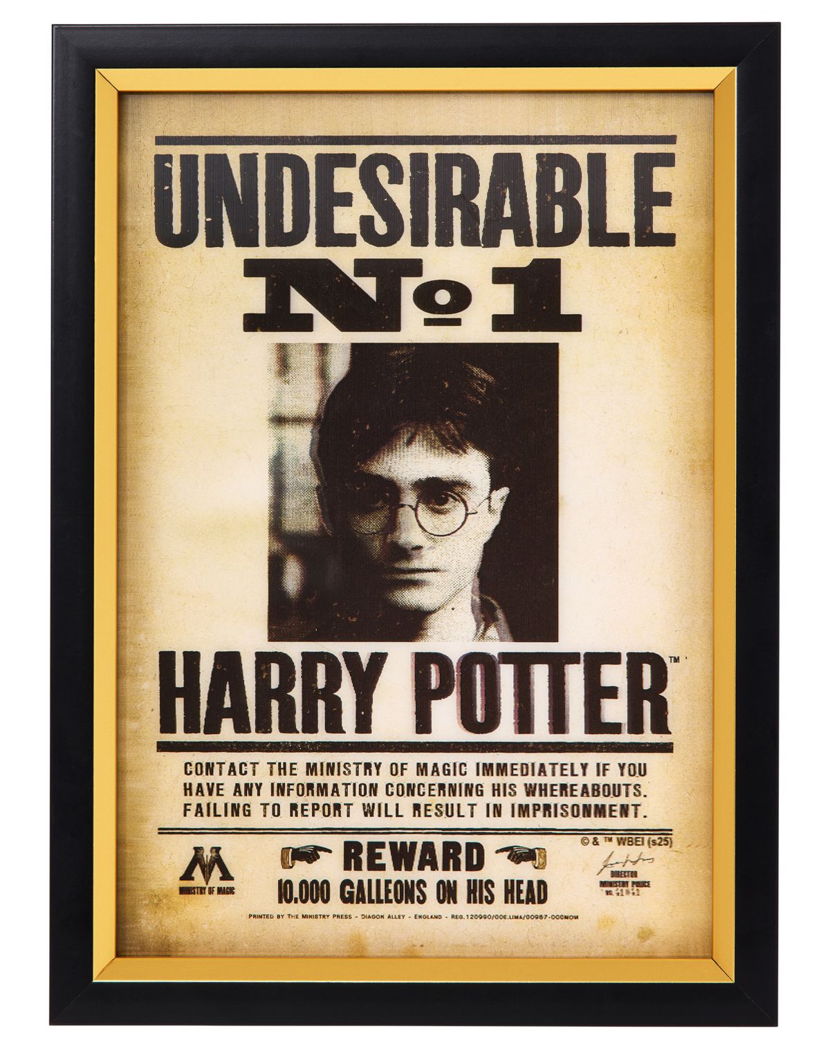 Harry Potter Wanted Mugshot Sign