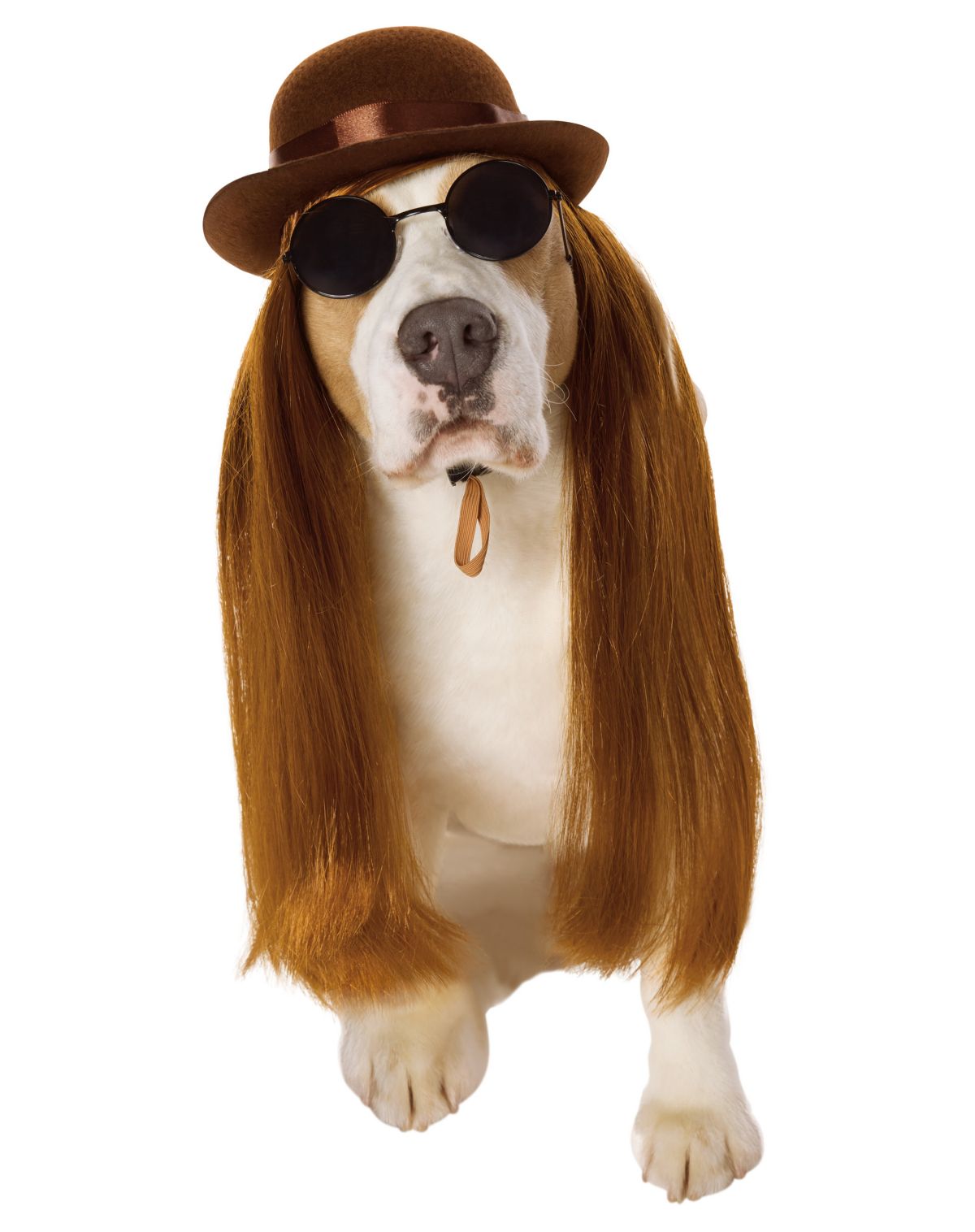 Cousin Itt Pet Costume - The Addams Family