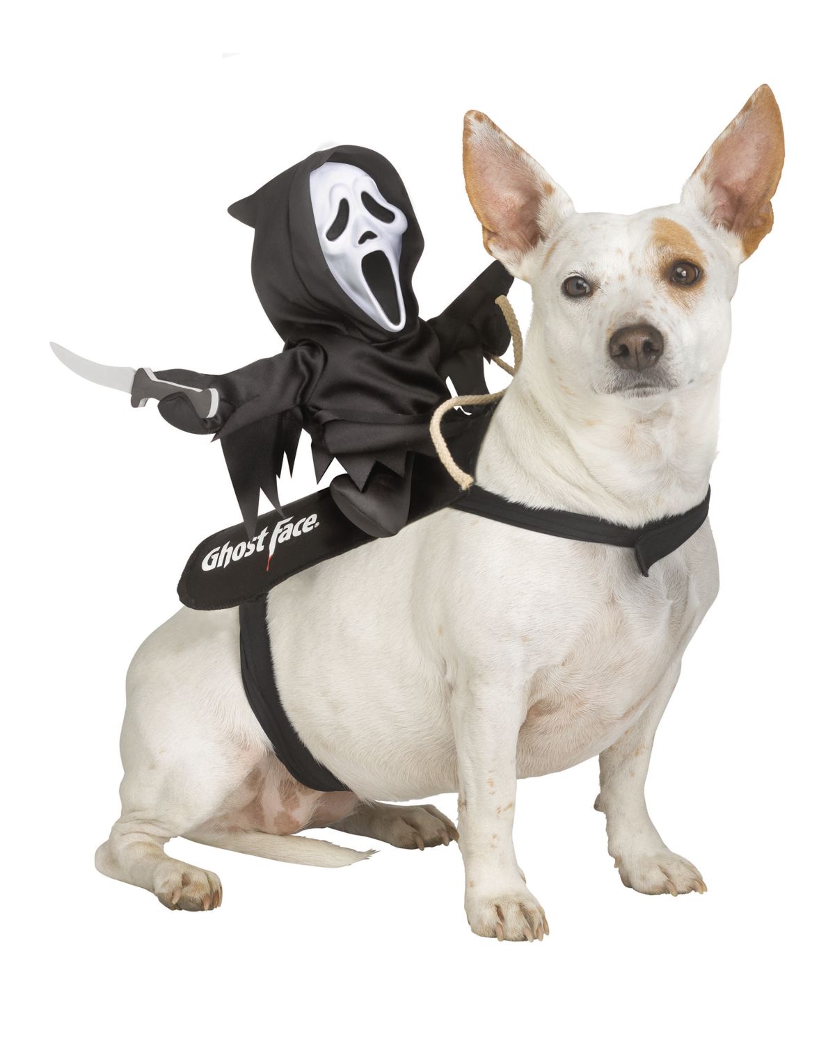 Ghost Face Rider Vest Pet Costume