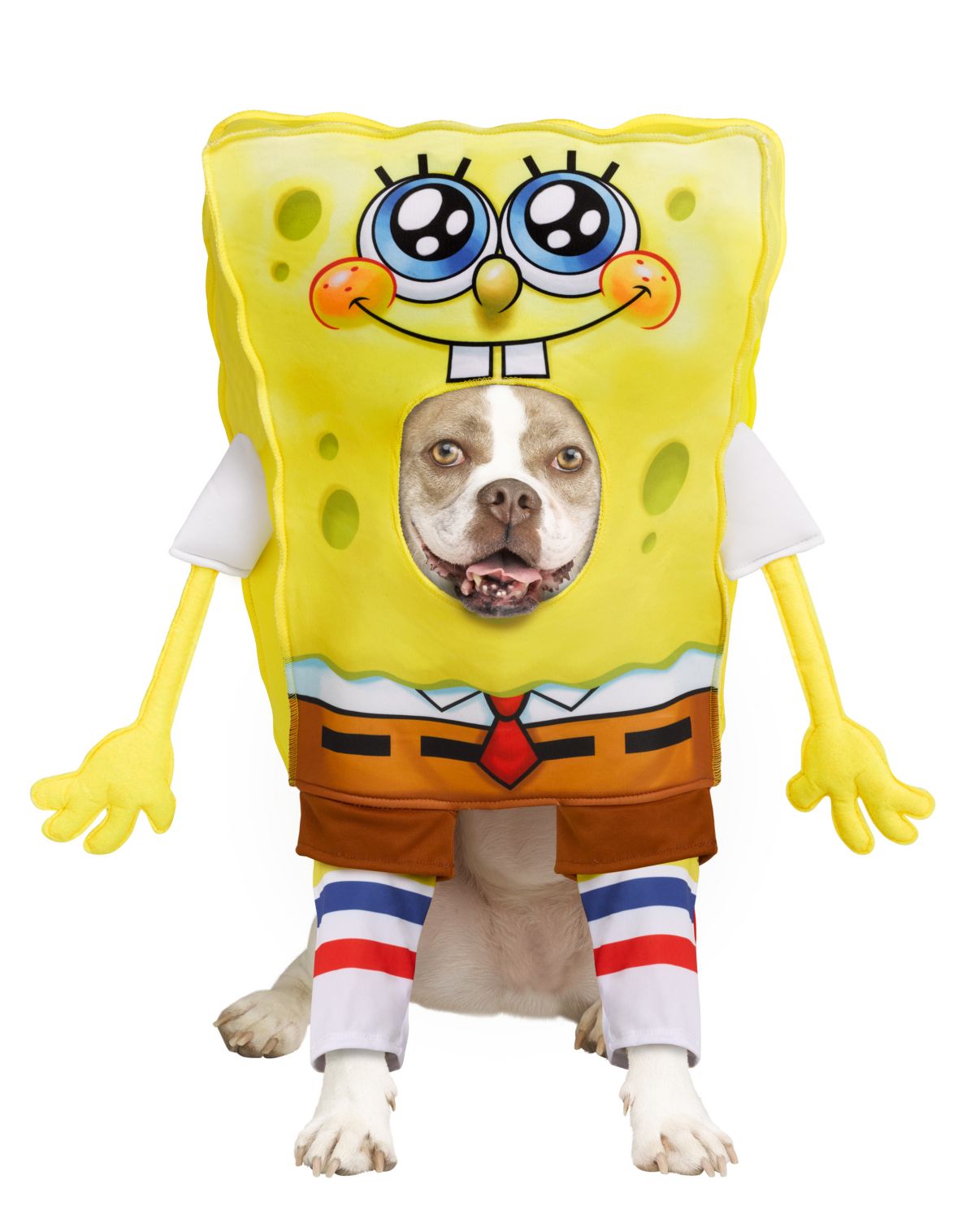 SpongeBob SquarePants Pet Costume - Nickelodeon