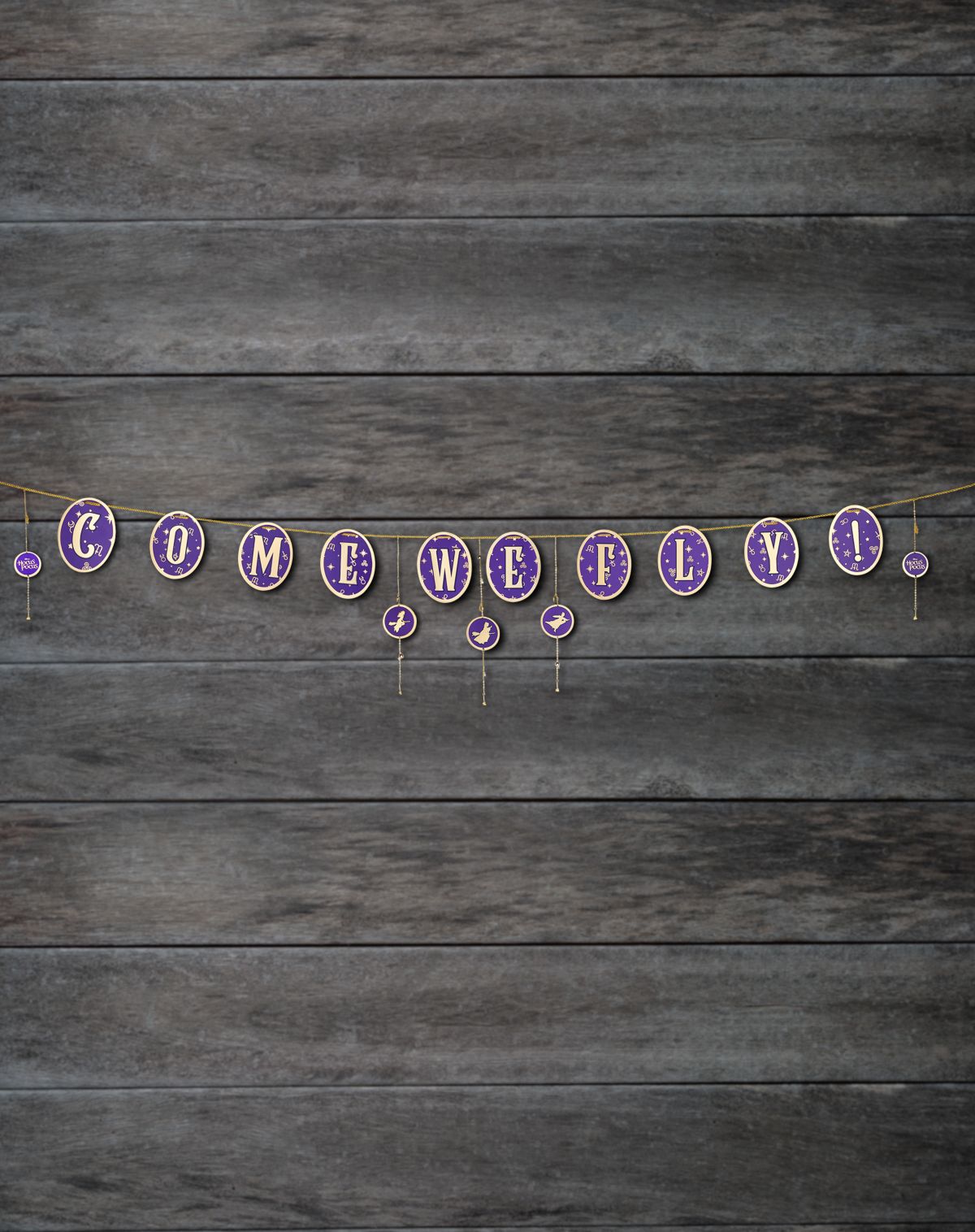 Come We Fly Banner - Hocus Pocus