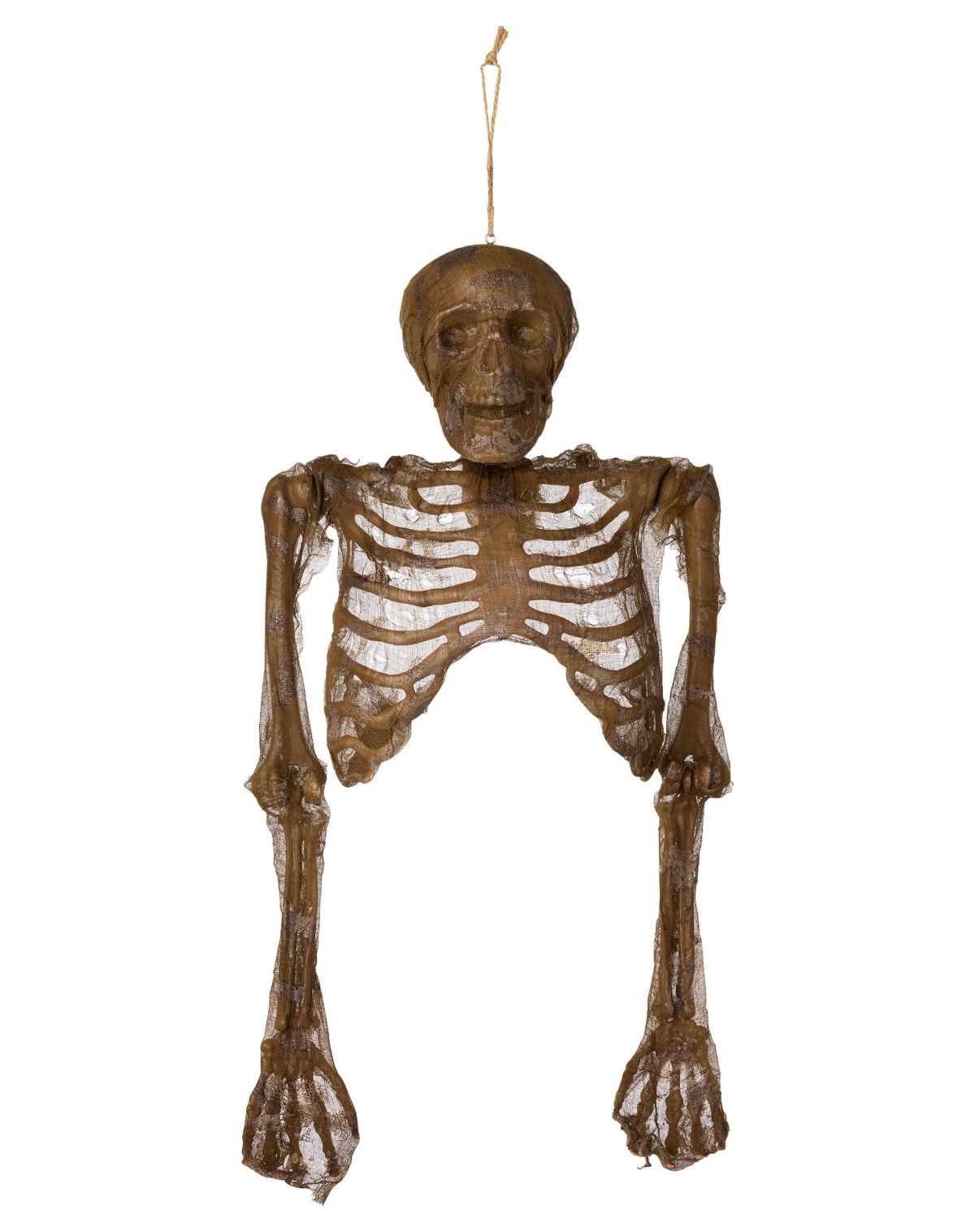 Hanging Decaying Skeleton Half Body