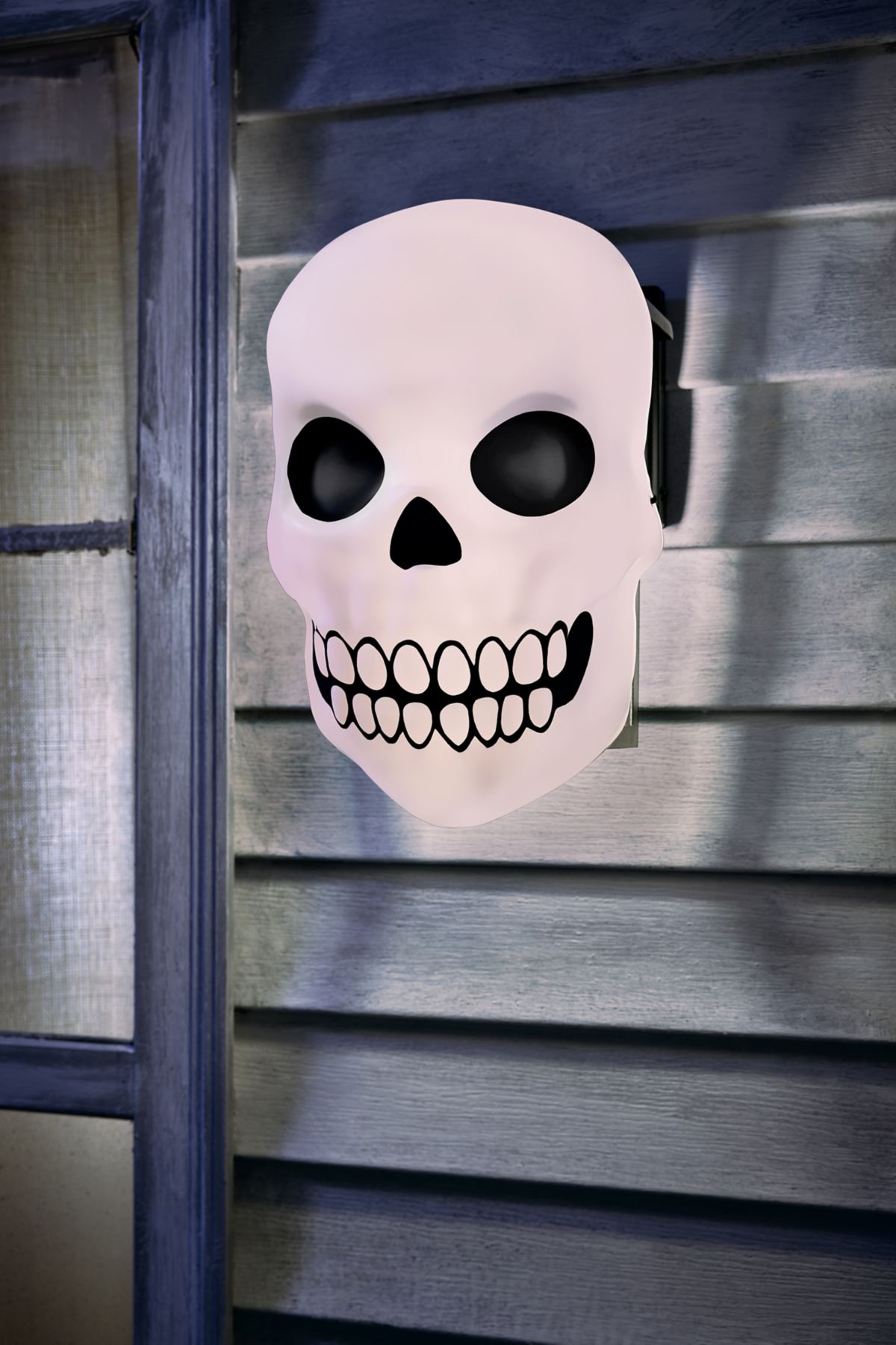 Skull Porch Light Cover