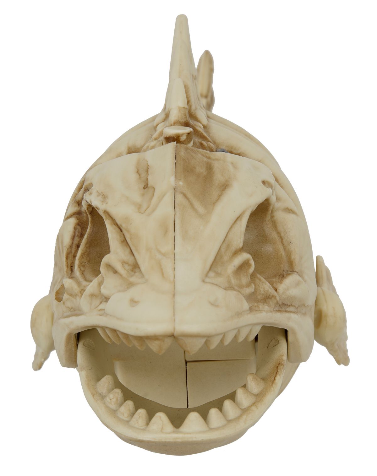 Light-Up Eyes Skeleton Fish