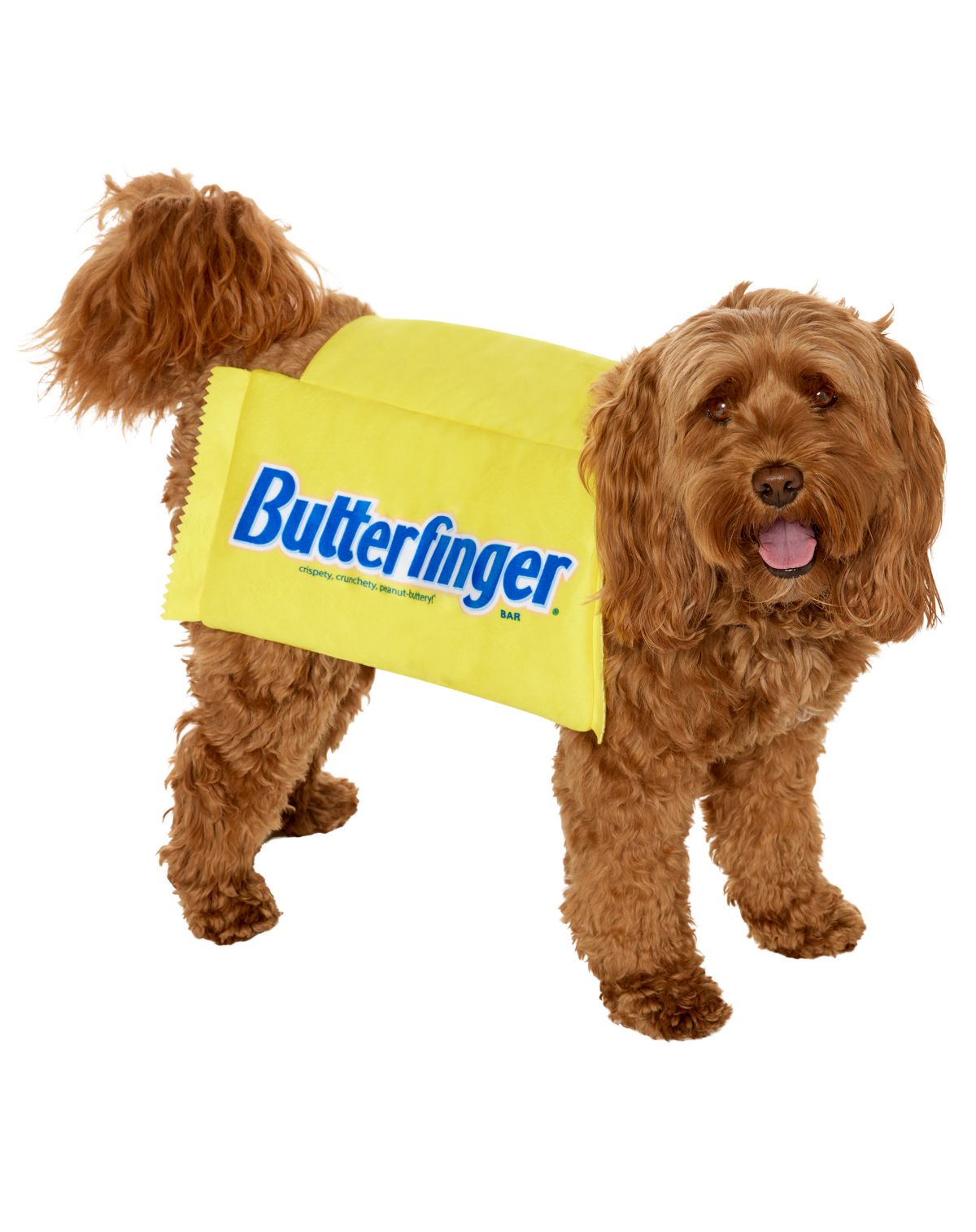 Butterfinger Pet Costume
