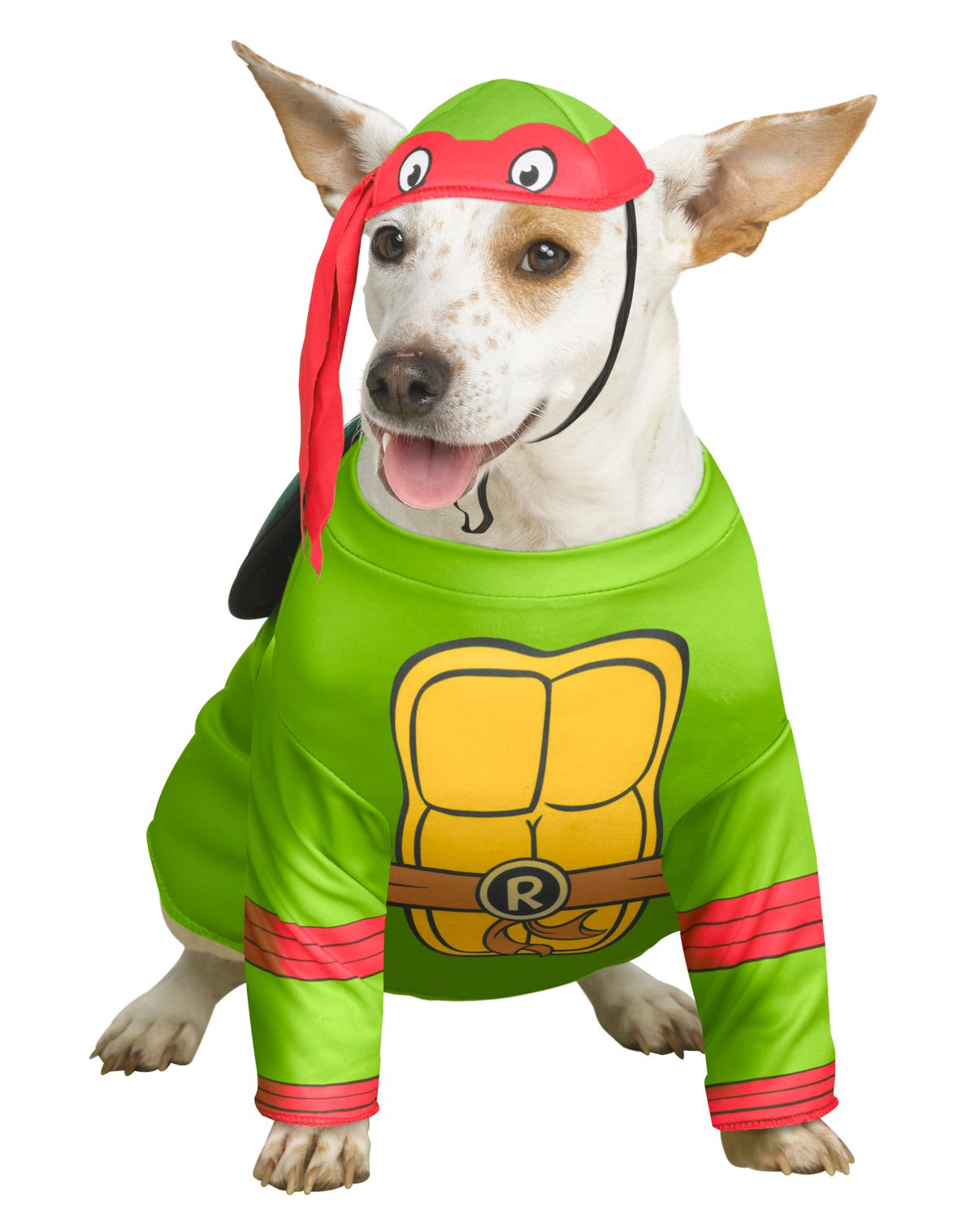 Raphael Pet Costume - Teenage Mutant Ninja Turtles