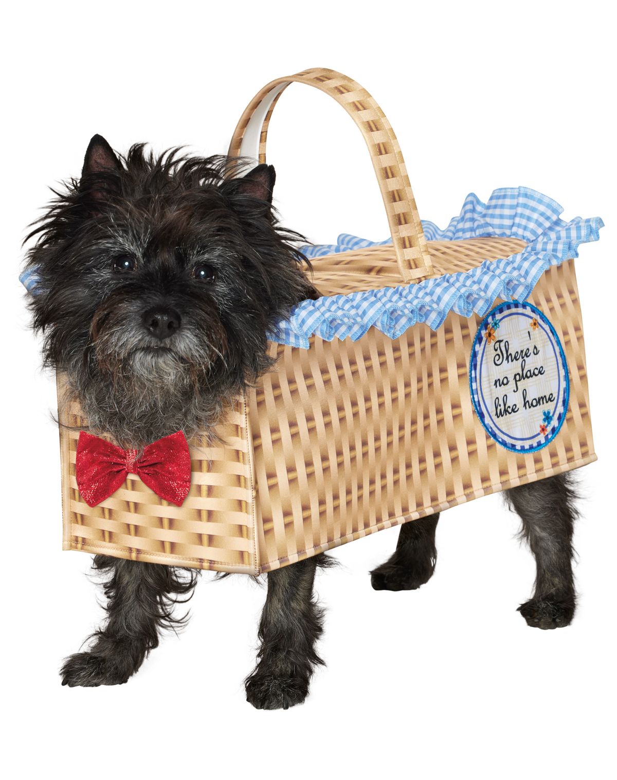 Toto Basket Pet Costume - The Wizard of Oz
