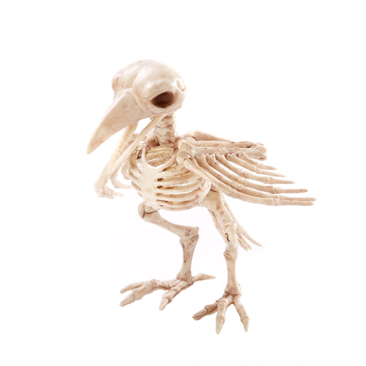 Skeleton Crow