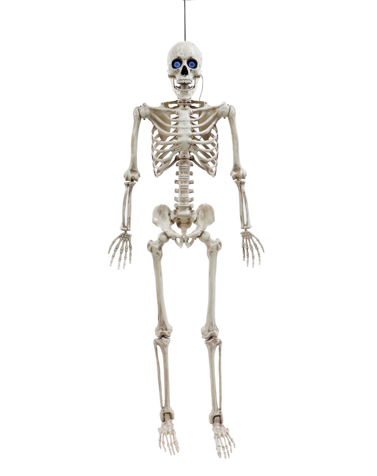 5 Ft Poseable Digieye Skeleton