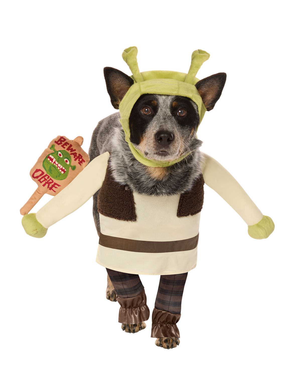 Shrek Pet Costume