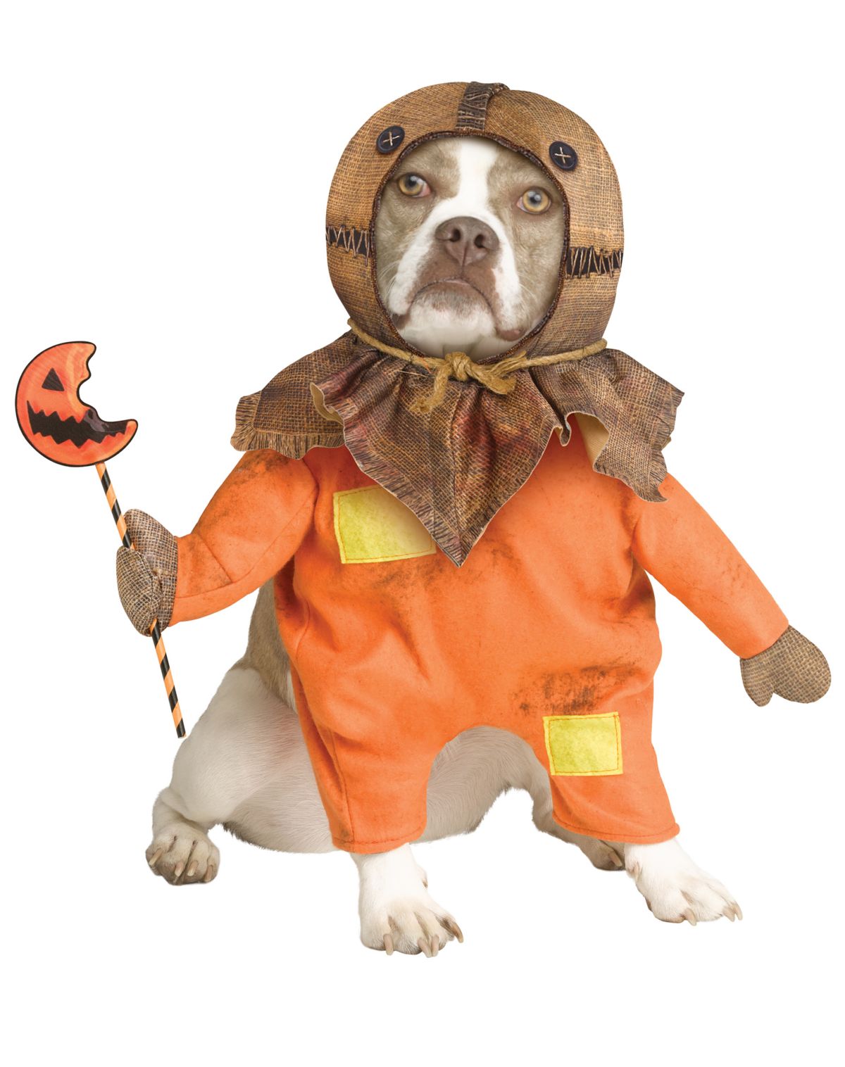 Sam Pet Costume - Trick 'r Treat