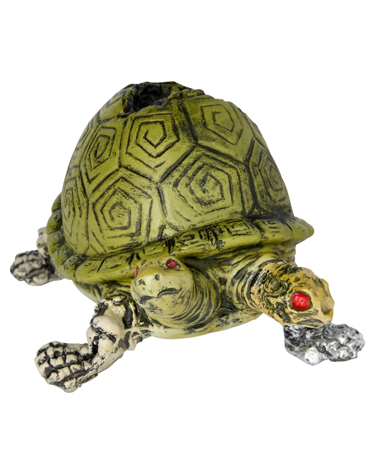 Two Headed Turtle