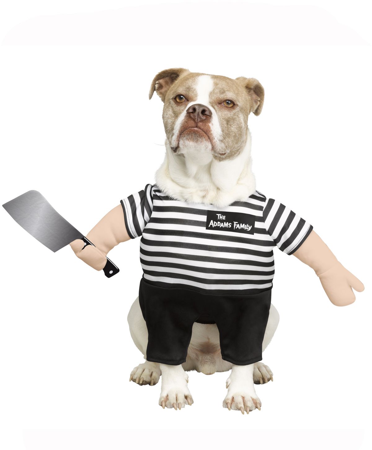 Pugsley Addams Pet Costume - The Addams Family