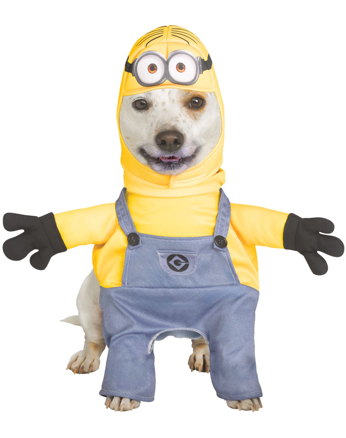 Minion Dave Dog Costume - Despicable Me